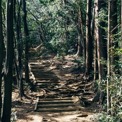 海尔为雷神山医院加装热水器设备