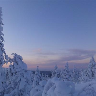 法院拍卖4元大瓶雪碧