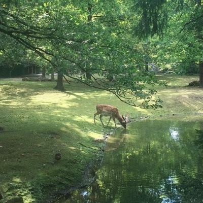 高中生晚11点上厕所被定重大违纪：教育局介入调查